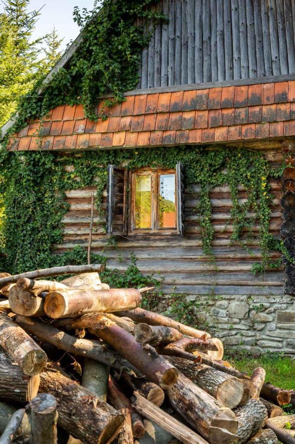 Хатина Біля Потока Vila Lumshory Exterior foto